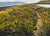 Looking Back, Rusheen Bay. Print, 50 x 70cm.