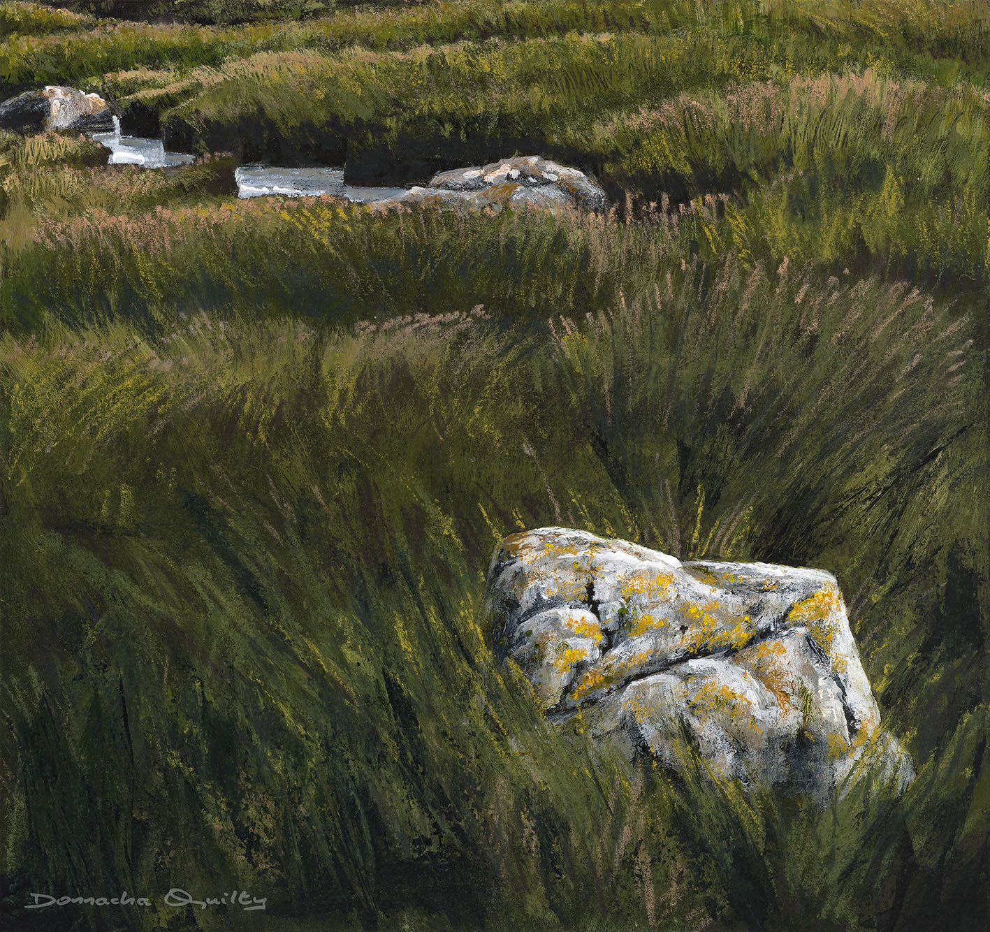 Tidal Grassland, Furbo. Print, 50 x 54cm.